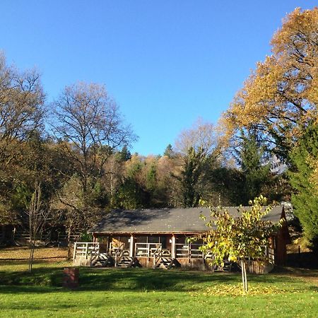 Au Bois De Calais Vila Corrèze Exterior foto